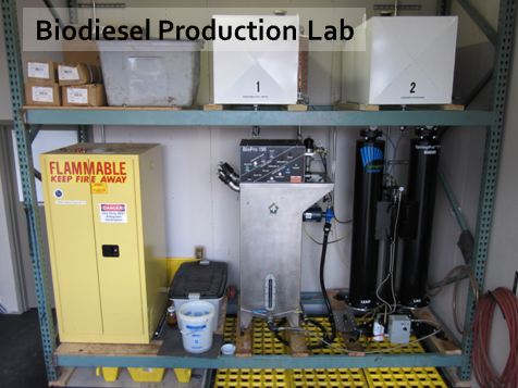 MSC Biodiesel Production Lab