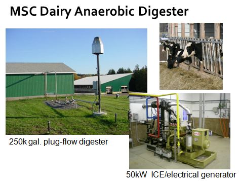 MSC Dairy Anaerobic Digester