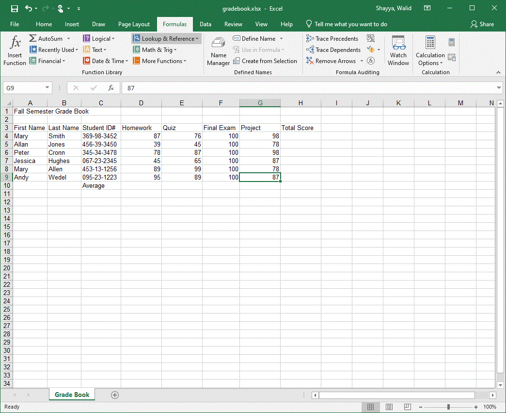 MS Excel Introductory Tutorial By W.Shayya - Figure 1 