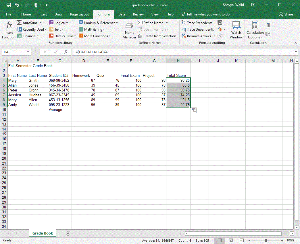 MS Excel Introductory Tutorial By W.Shayya -  Figure 3