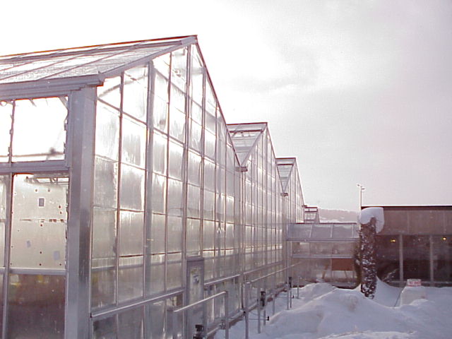 New Greenhouses