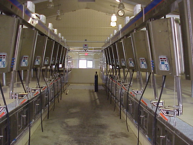 Milking Parlor (while under construction - August 2001)