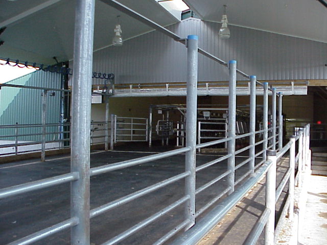 Back View of Milking Parlor (November 2001)