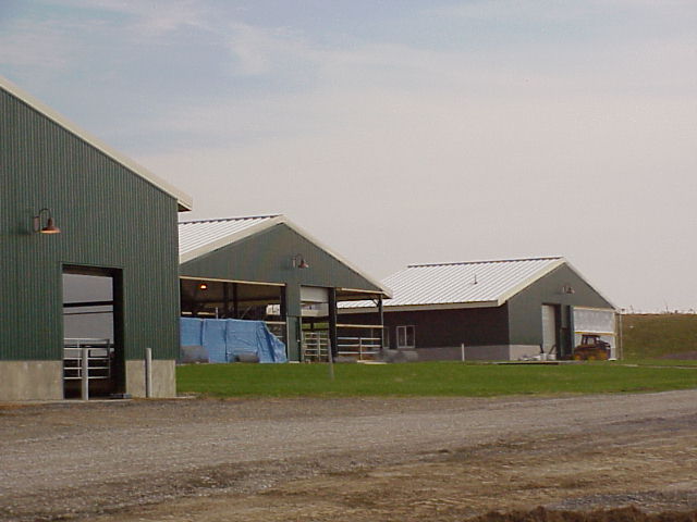 Back View of Dairy Complex 2 (November 2001)