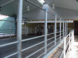 Back View of Milking Parlor
